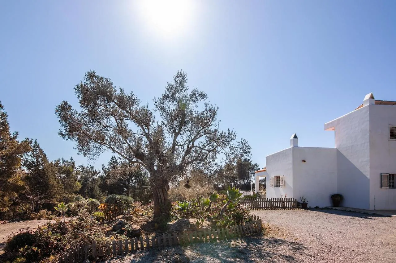 Villa Es Socorrat Na Xamena